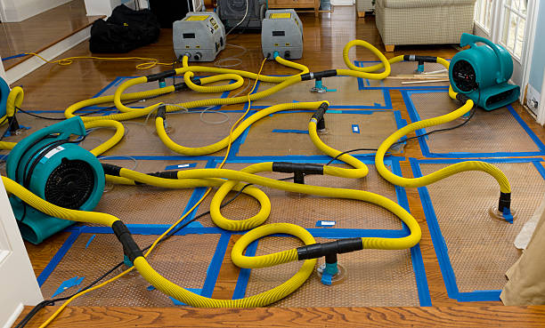 Professional Basement Flood Cleanup technician working in Glendora, NJ